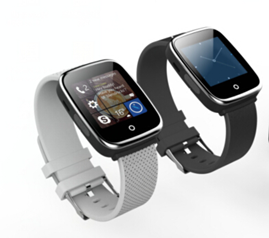 smartwatch